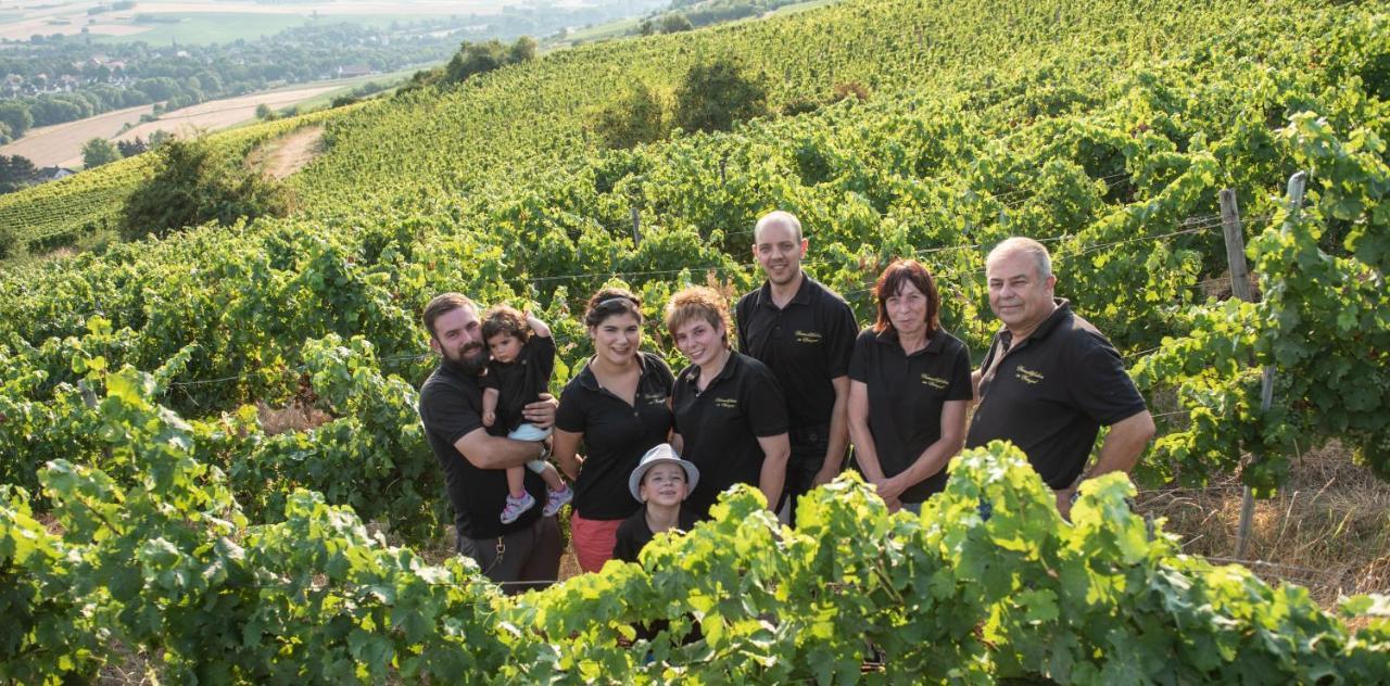 Hotel Weinschloesschen Im Weingut Roos Ilbesheim Exteriér fotografie